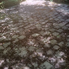 Spring-pressure-washing-for-Kirkland-springs-apartments 18